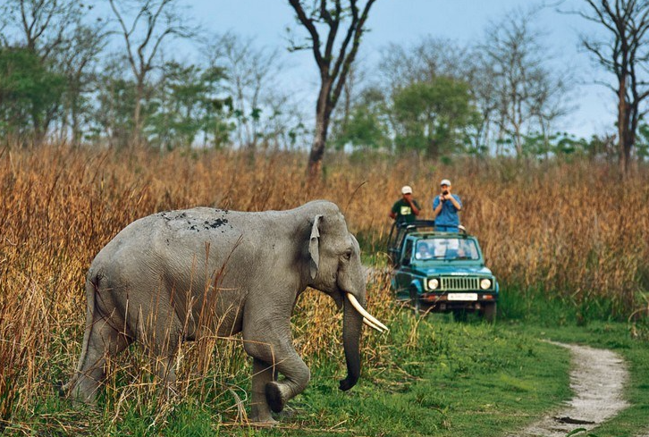 corbett fun tour