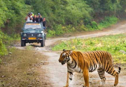 corbett dhikala zone